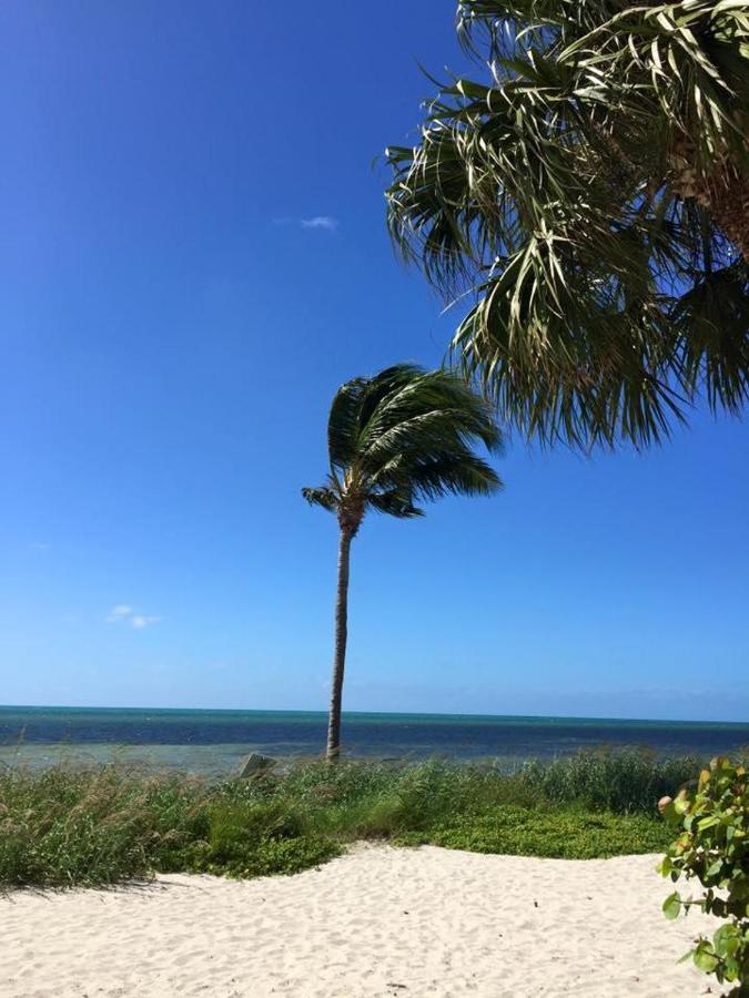 Paradise Found Cayo Hueso Экстерьер фото