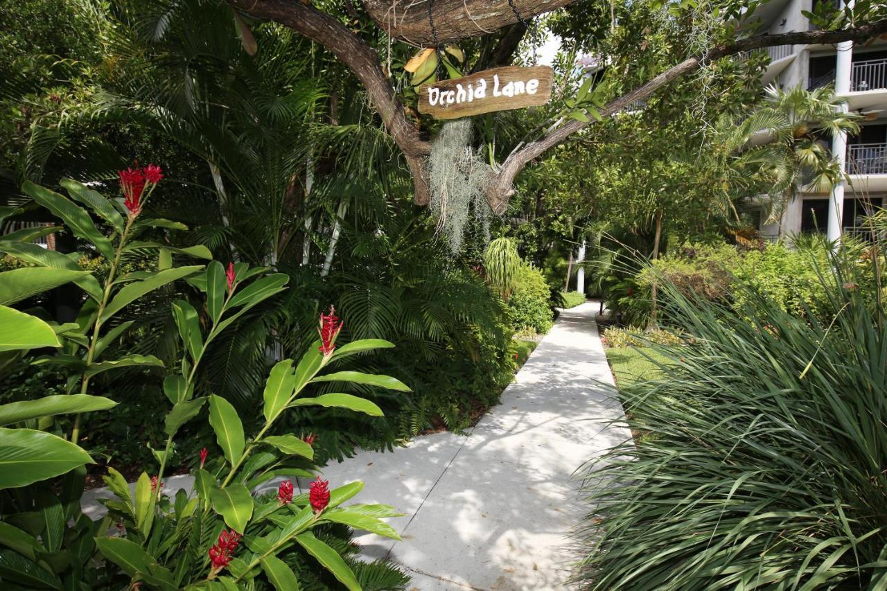 Paradise Found Cayo Hueso Экстерьер фото